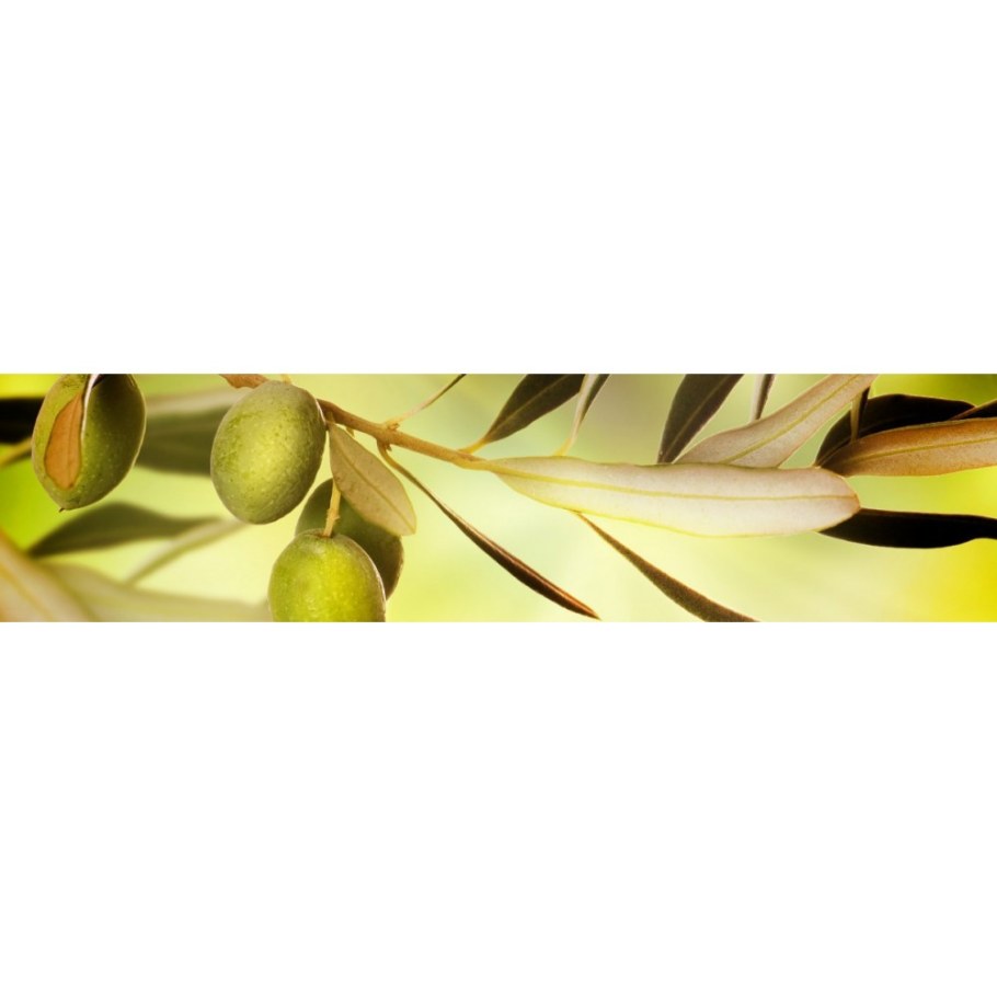 Стеновая панель Скиф олива глянец