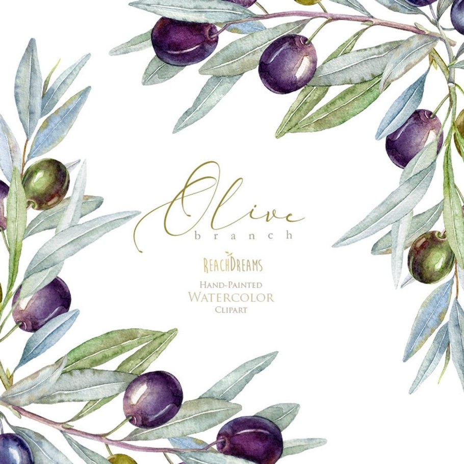Оливковая ветвь акварель
