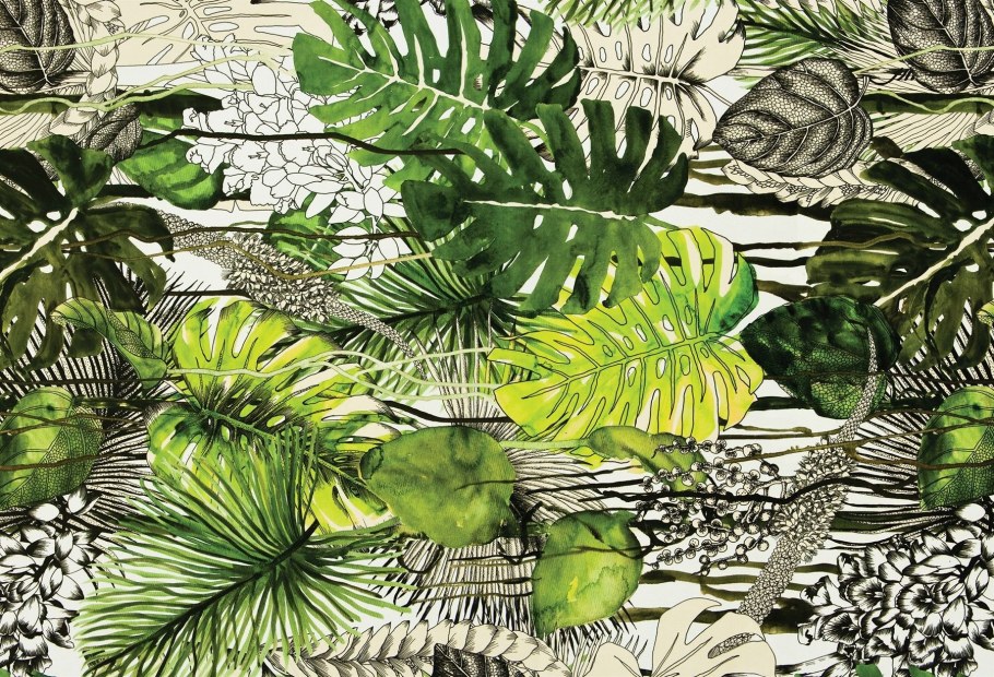 Тропическая Лиана монстера