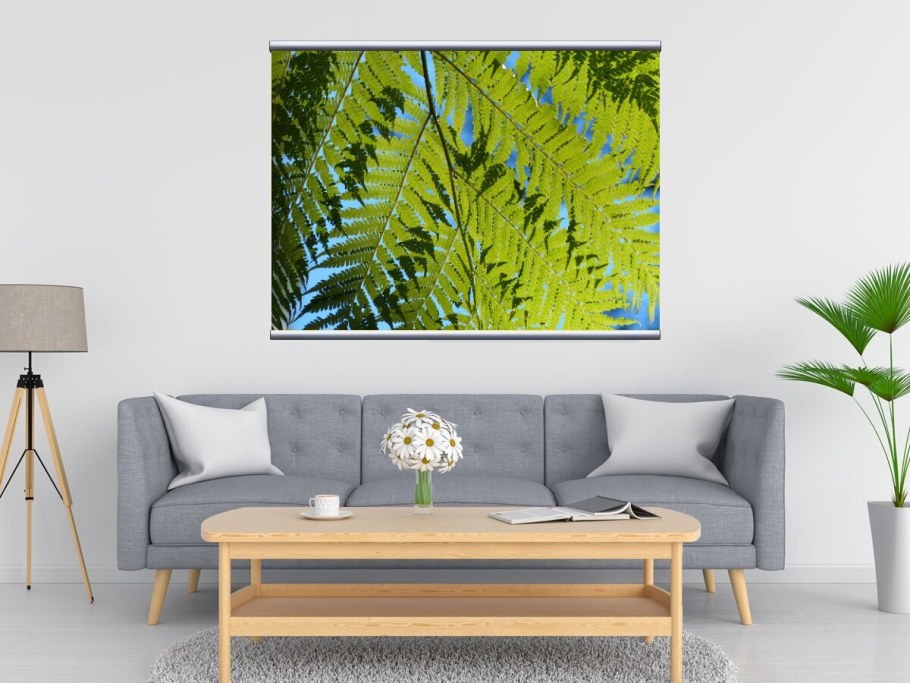 Папоротник картины на холсте