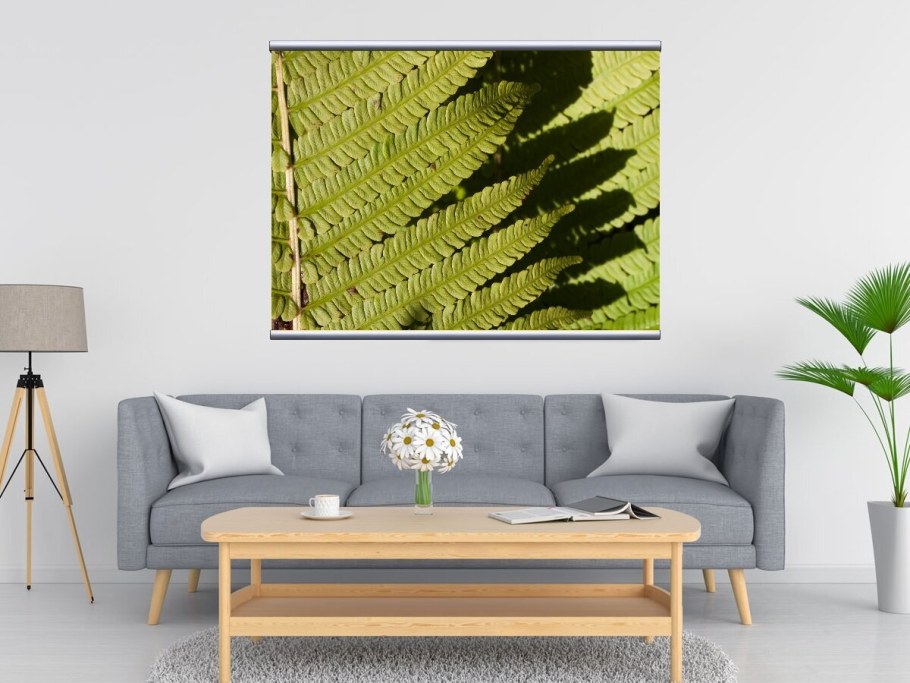 Обои папоротник в интерьере гостиной