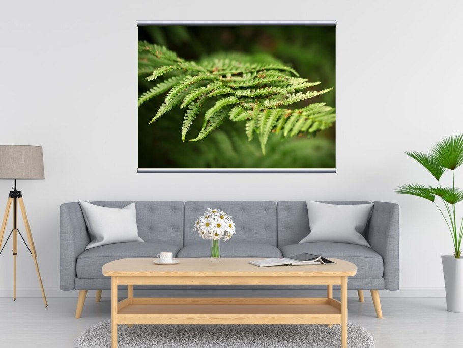 Папоротник картина