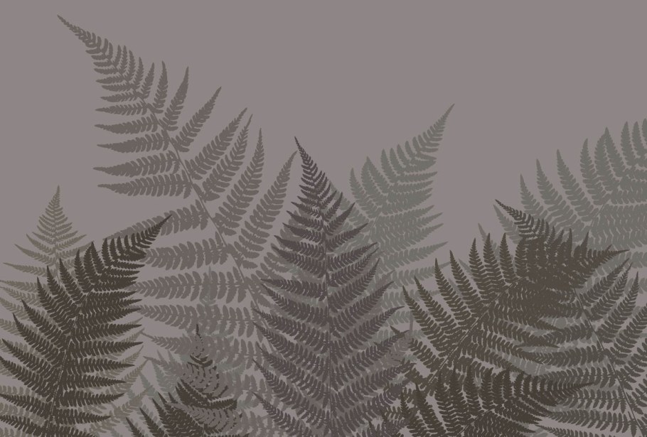 Фотообои папоротник