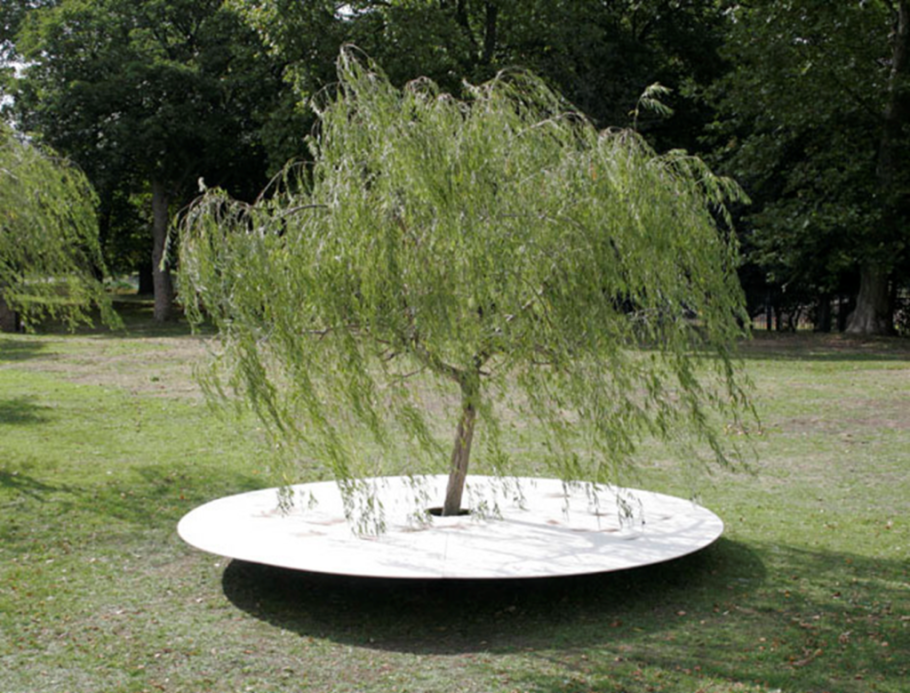 Ива повислая