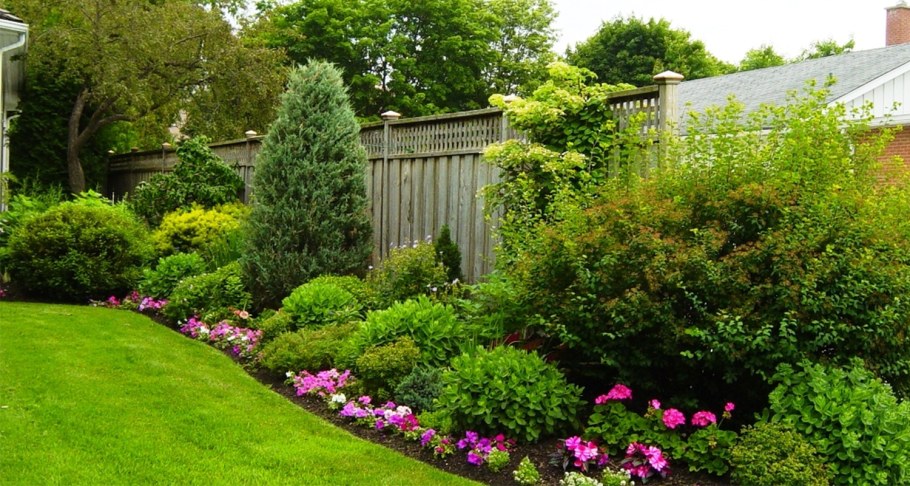 Миксбордер сирень Палибин