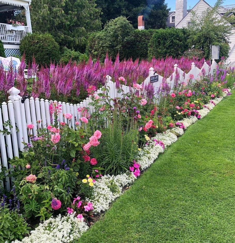 Рабатки миксбордеры