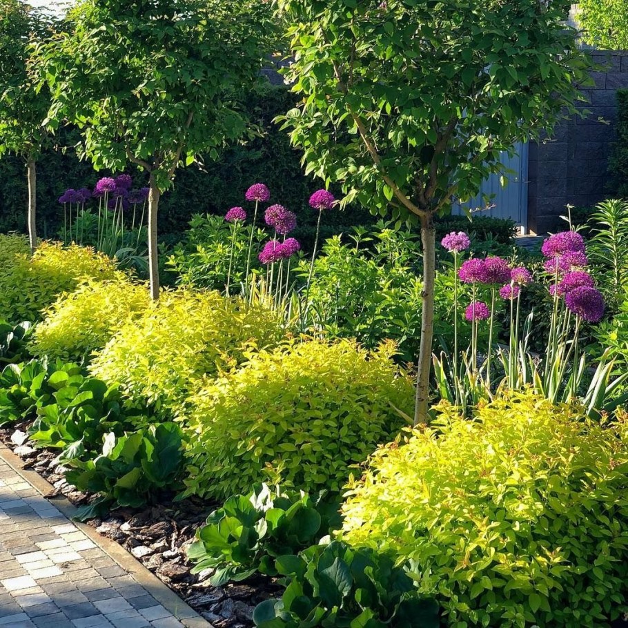 Миксбордер со спиреей японской