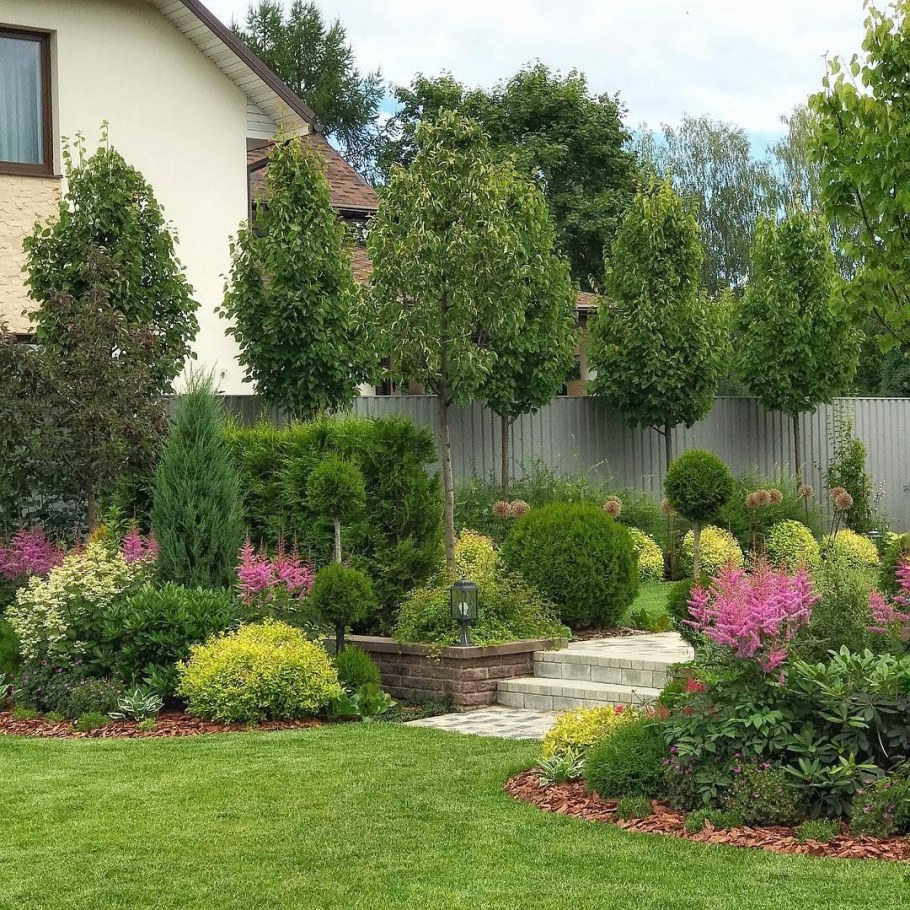 Вечноцветущий миксбордер