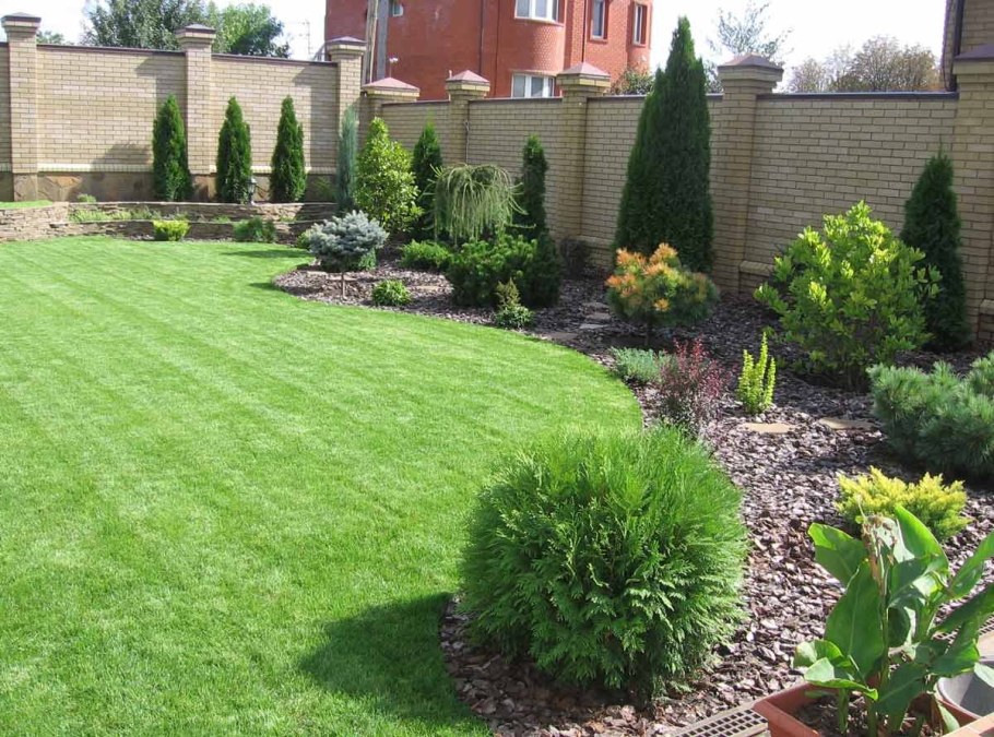 Мульчирование хвойников