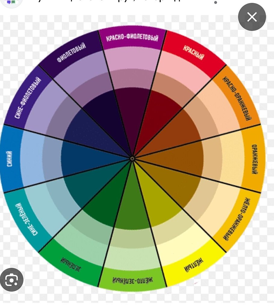 Круг цвета