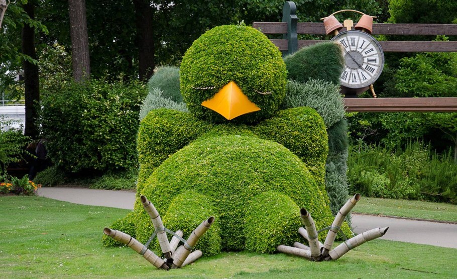 Топиар хвойников