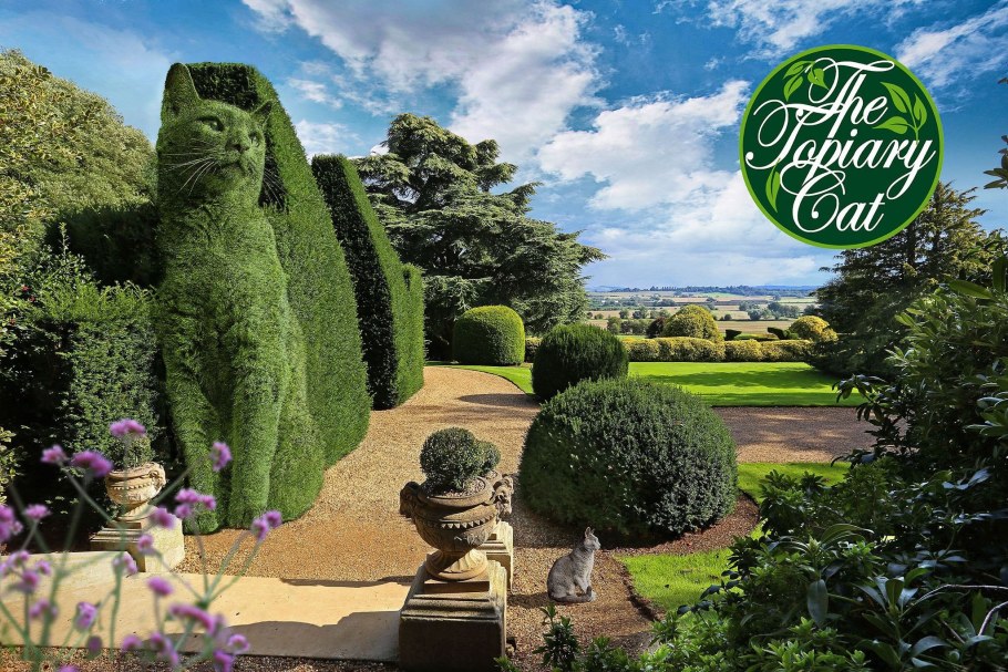 Топиарные коты Ричарда Сондерса