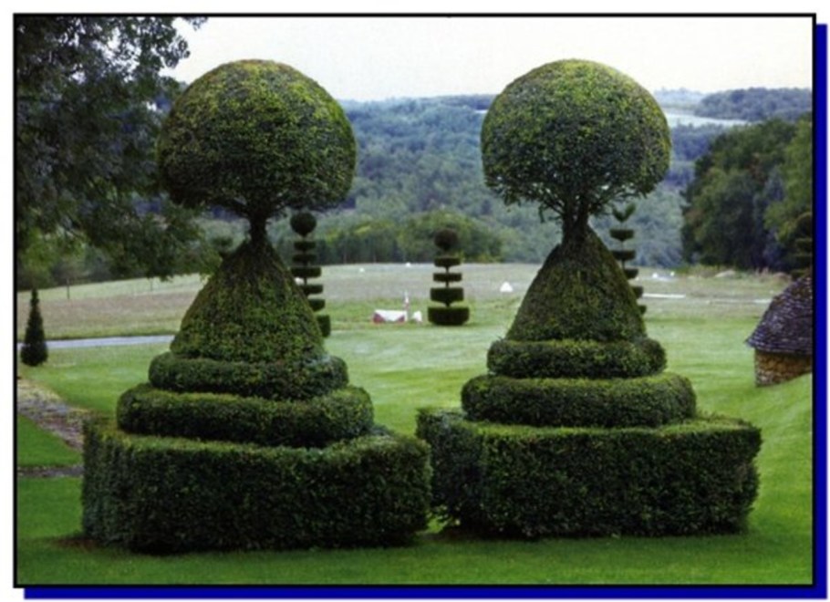 Топиарное искусство в Египте