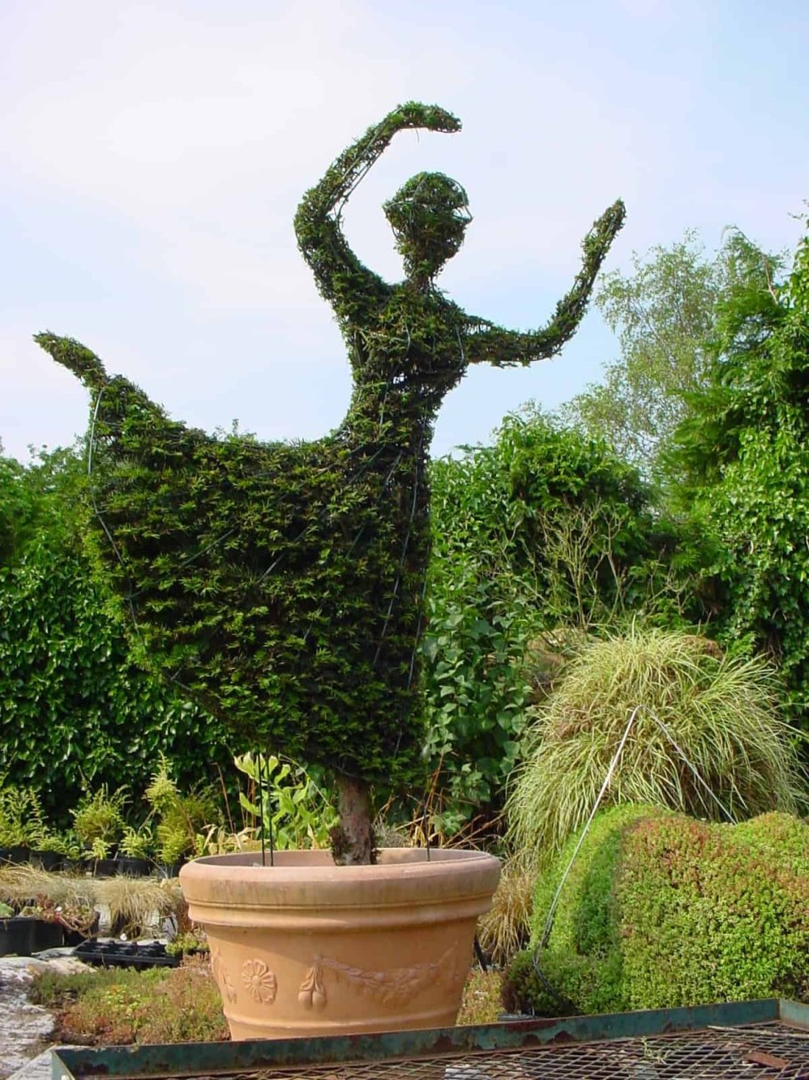 Топиар студия зеленый дракон