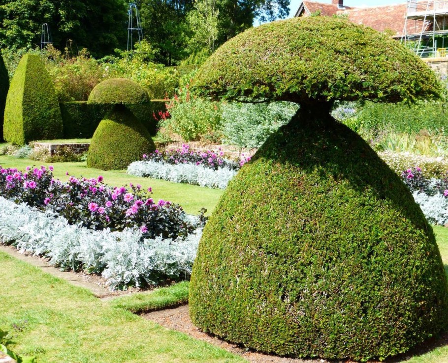 Топиар ландшафт