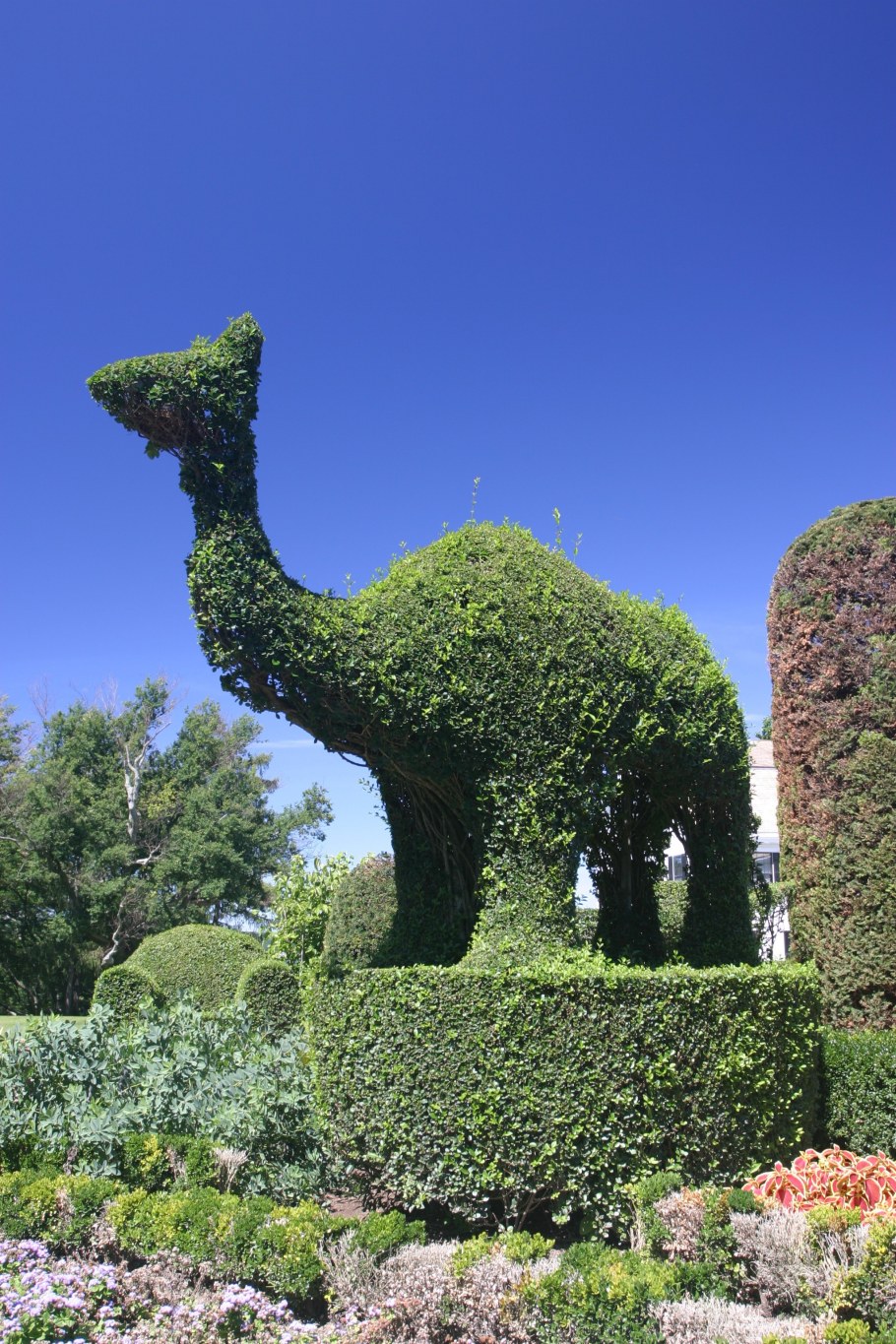 Топиарная скульптура Цезаря