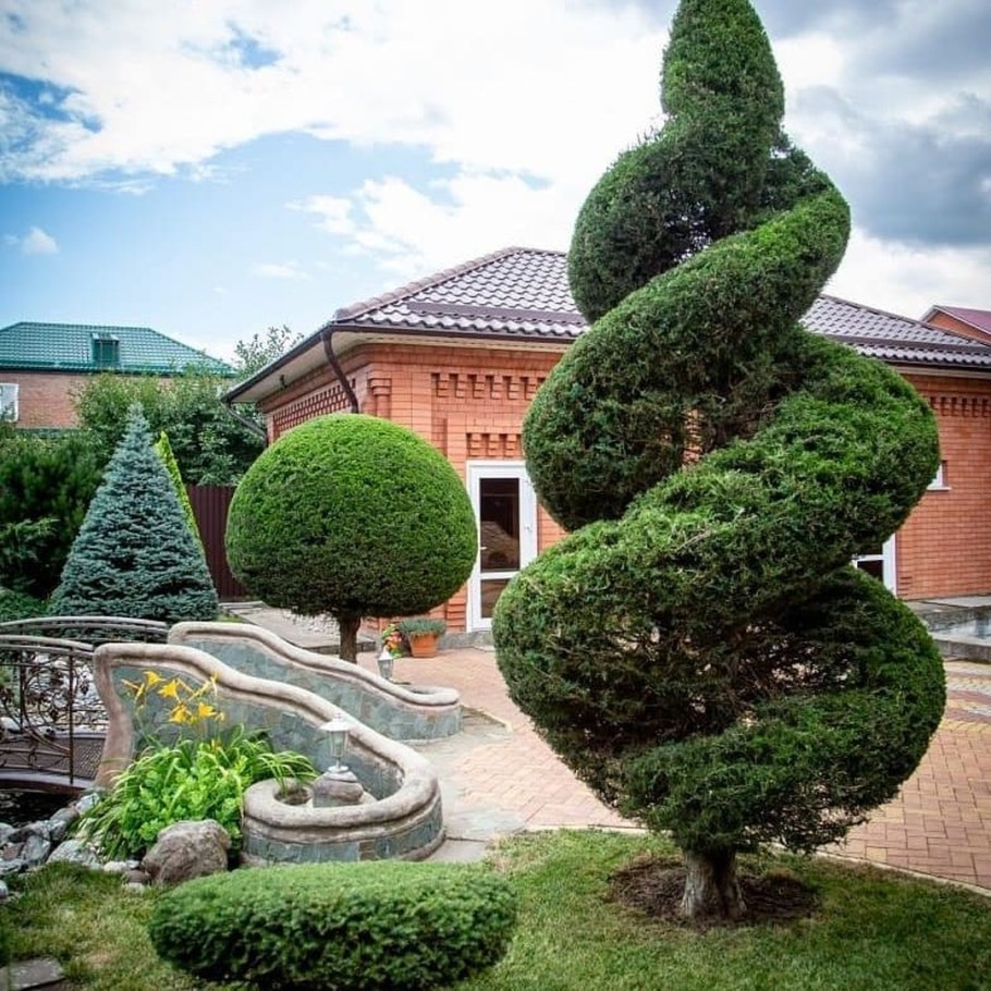 Сергей Багров топиарное искусство