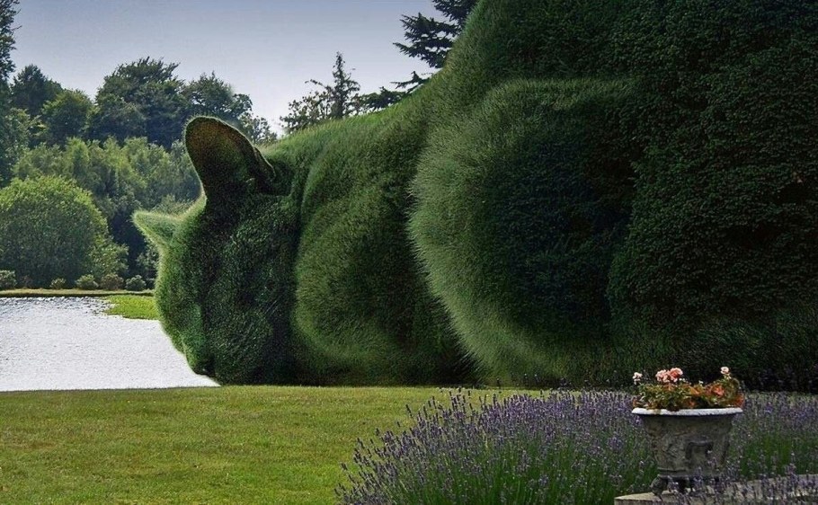 Топиари кот Ричард Саундерс