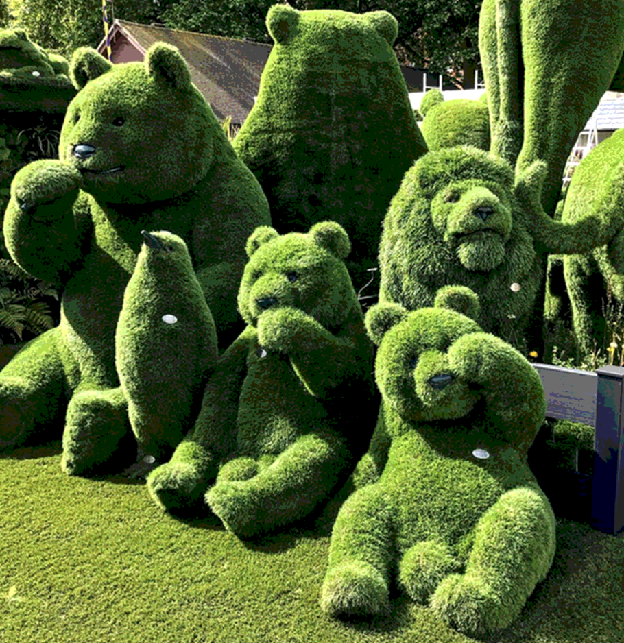 Топиарная стрижка кохии