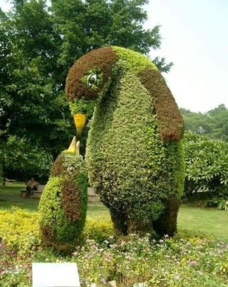 Топиарная скульптура Цезаря