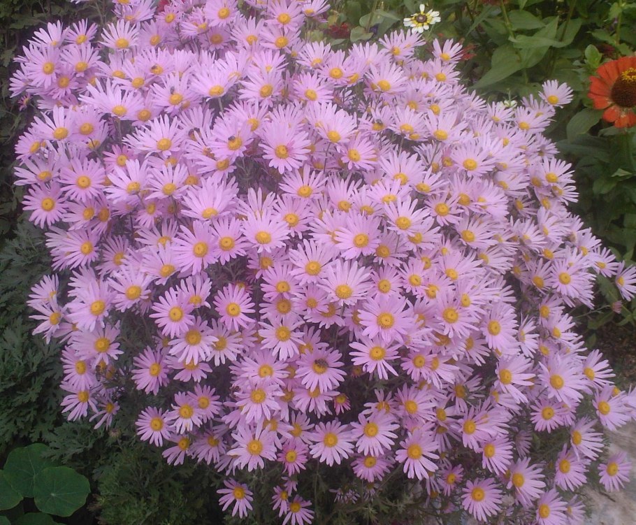 Сентябринки октябринки