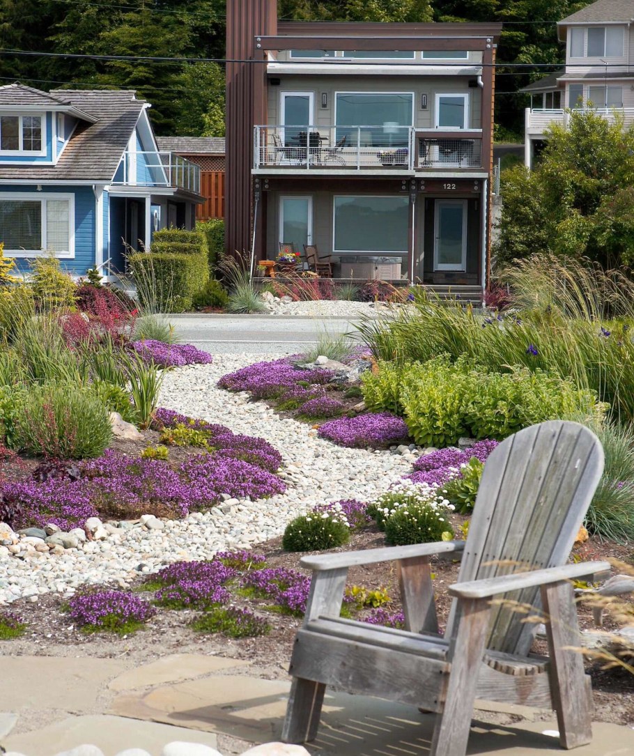 Тимьян в ландшафте