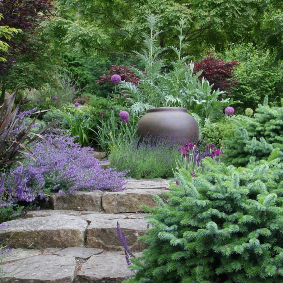 Малоуходный сад ландшафтный