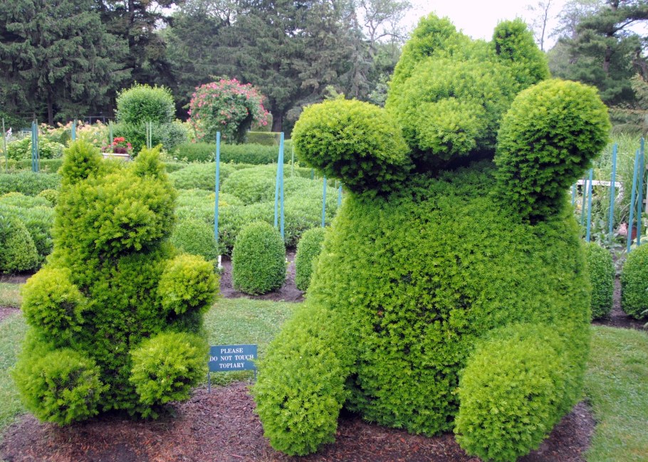 Туи Смарагд Топиар