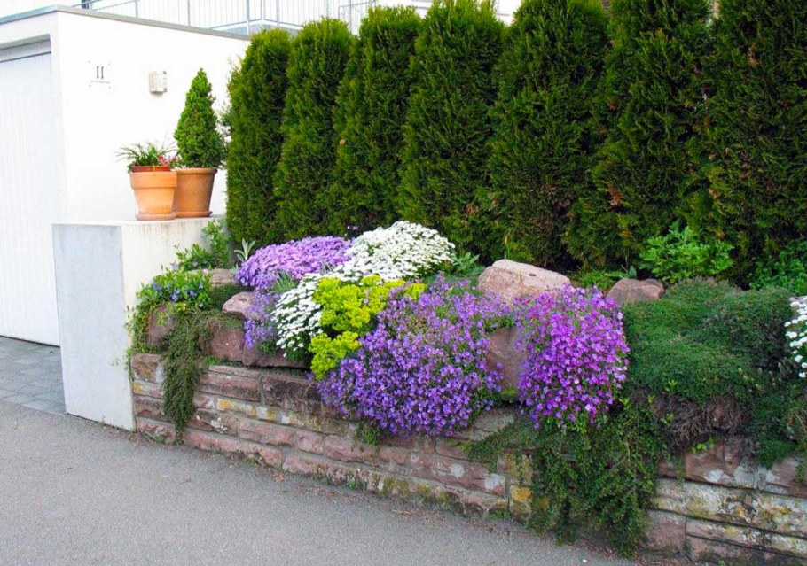 Миксбордер с сиренью