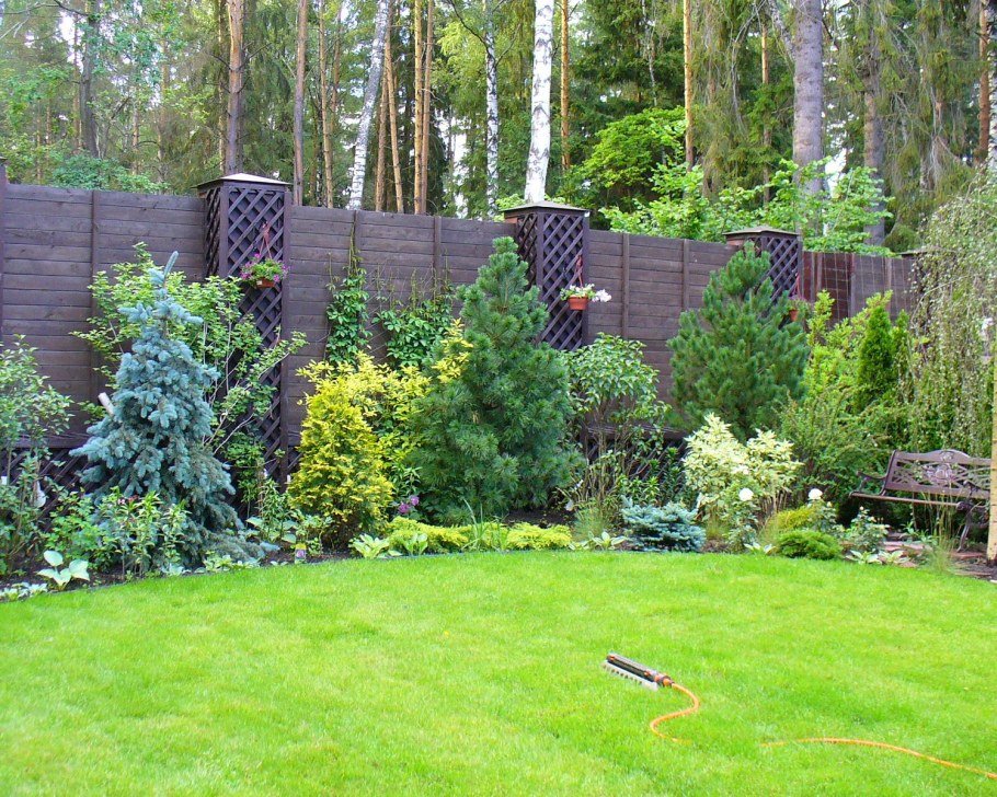 Пузыреплодник дерен миксбордер