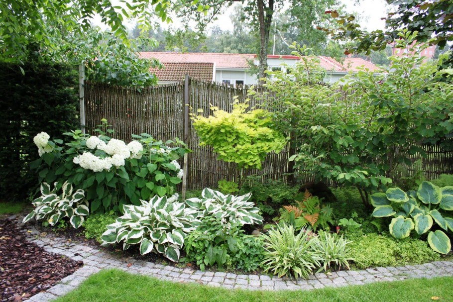 Миксбордер лилейник гортензия и Хоста