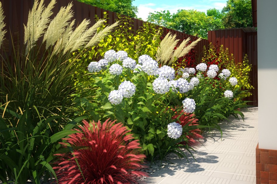 Хоста лилейник миксбордер