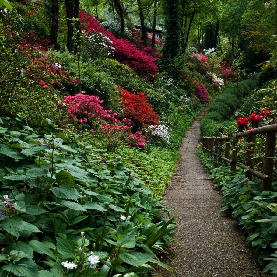 Тропинки в саду