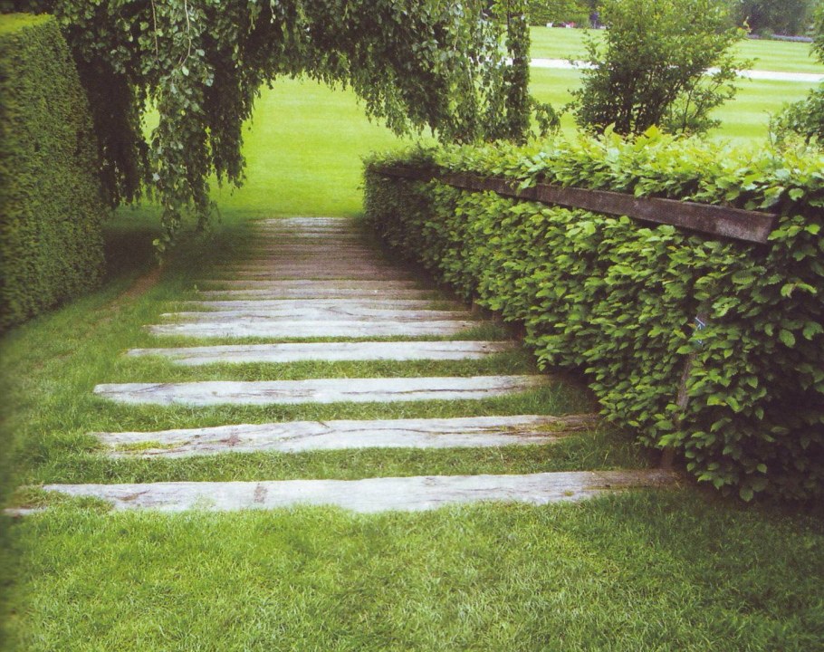 Живая изгородь в ландшафте