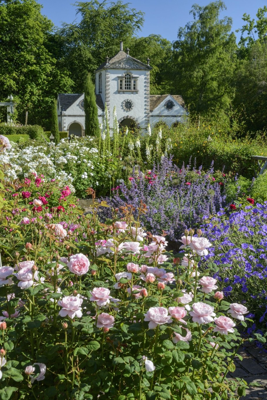 Сад Дэвида Остина Великобритания