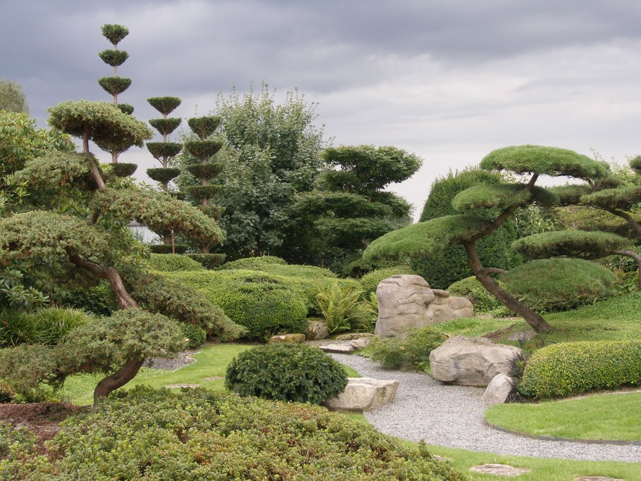 Садовый бонсай ниваки