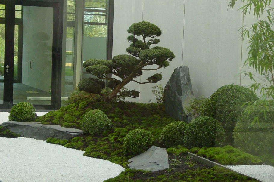 Ниваки японский ландшафт