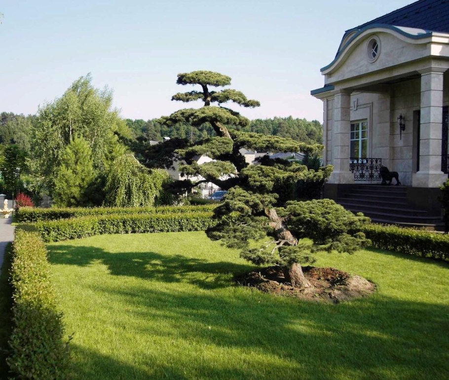 Андера ландшафт