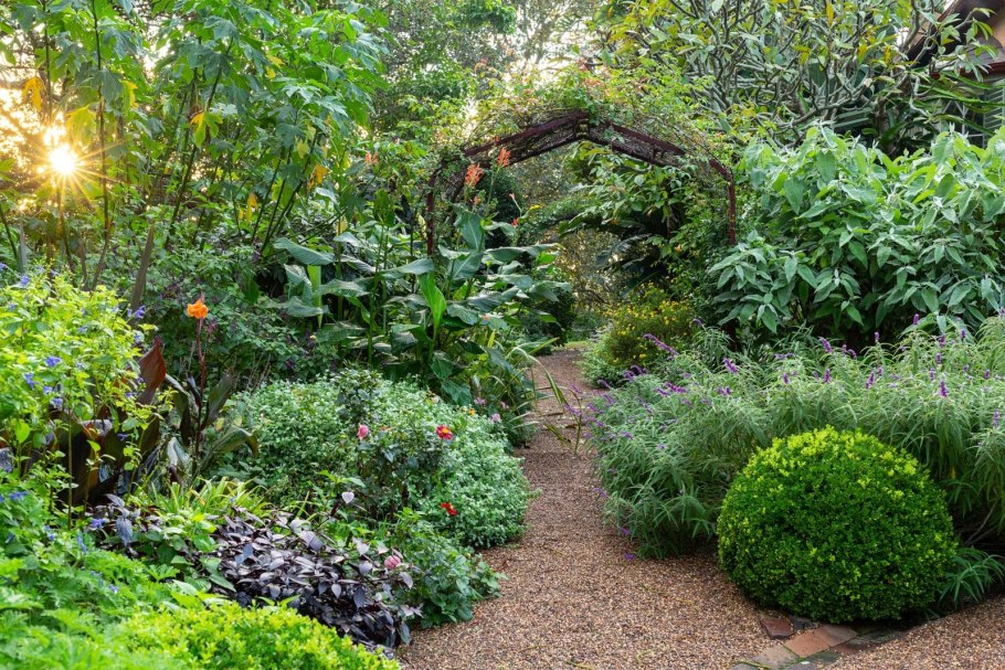 Хелен парк+ ландшафт