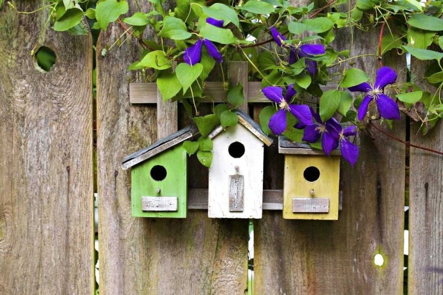 Необычные скворечники