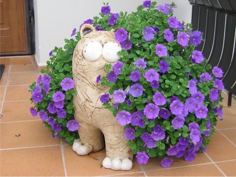 Петуния на клумбе