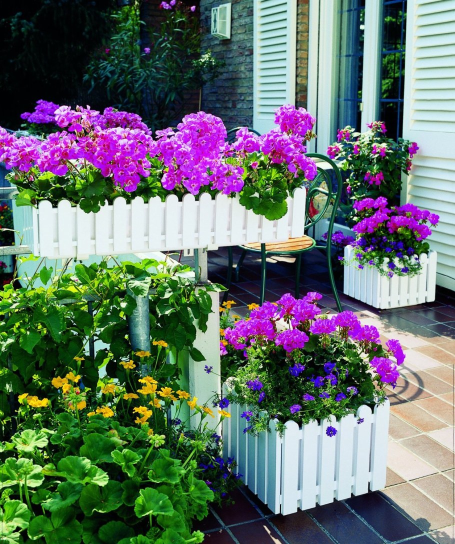 Петуния тайгелы