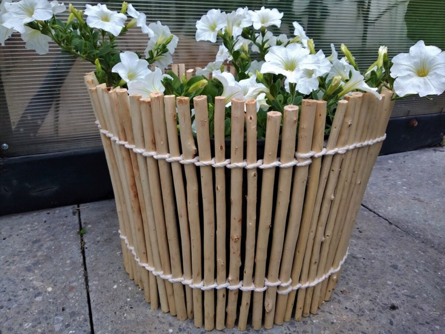 Петуния в деревянном кашпо