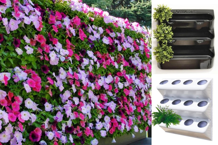 Фитомодуль БОКССАНД