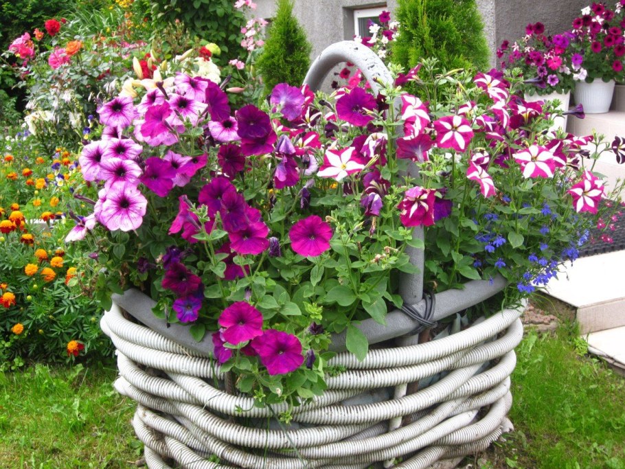 Петуния Водопадия мраморная