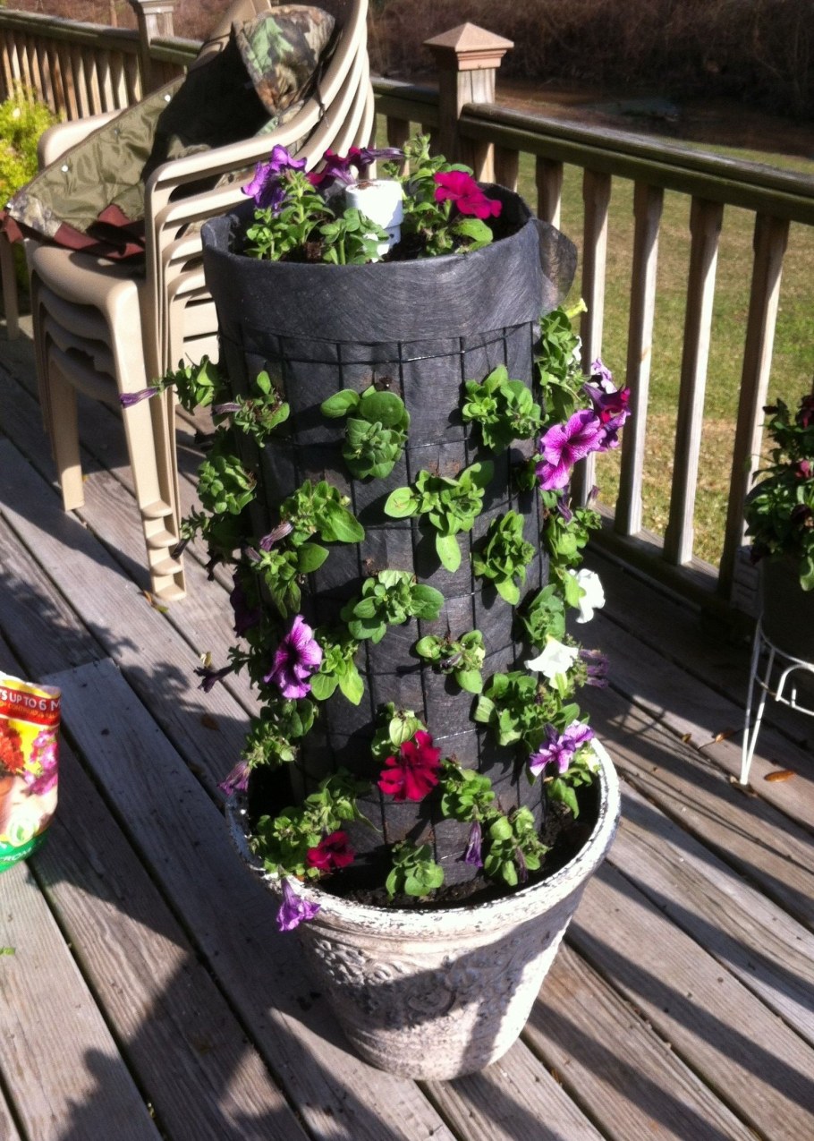 Вертикальная клумба для петунии