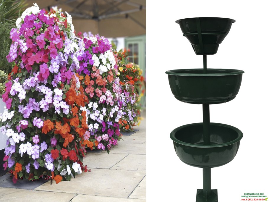 Ампельная петуния в вазоне