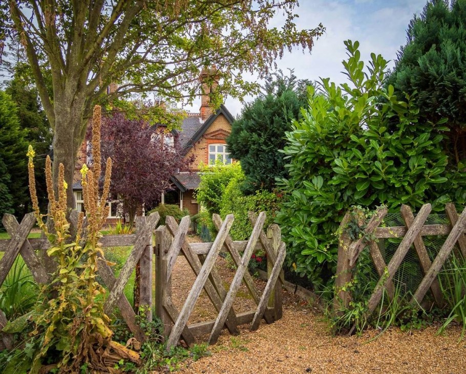 Зеленая изгородь Сельская Англия