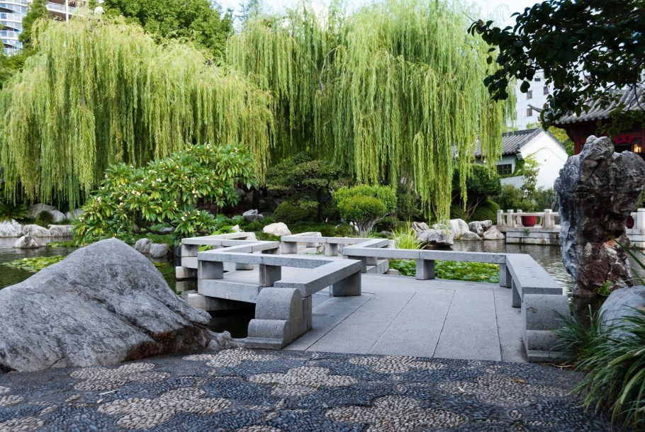 Плакучая Ива в саду ландшафтный