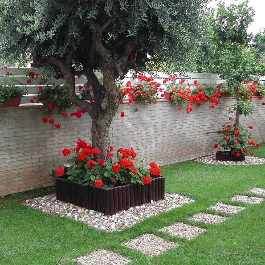 Клумба в приствольном круге